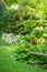 Tropical plants in a park