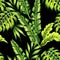 Tropical plants seamless background