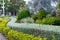 Tropical plants of various colors planted in rows in a park