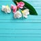 Tropical plumeria flowers on turquoise wooden background.