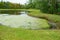 Tropical pond cover by algae