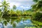 Tropical pond and palm trees