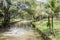 Tropical pond or river with palm trees Perdana Botanical Garden