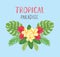 Tropical postcard. Summer background with frangipani, hibiscus and palm leaves.