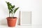 Tropical potted plant Zamioculcas and empty photo frame against white wall. Scandinavian interior fragment