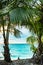 Tropical pristine beach with coconut palm and turquoise water, Maldives travel destination