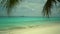 Tropical pristine beach with coconut palm and turquoise water, Maldives travel destination