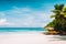Tropical pristine tranquil beach with powdery white sand, crystal clear ocean water and palm trees. Summer season
