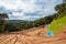 Tropical rain forest cleared woodland in Cameron Highlands Malaysia