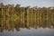 Tropical rain forest, Lake Sandoval, Amazonia, Peru