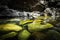 Tropical rain forest landscape with lake and balancing rocks