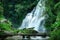 Tropical rain forest landscape with Pha Dok Xu waterfall and bamboo bridge. Thailand