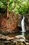 Tropical rain forest landscape with waterfall