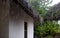 Tropical raindrops on a reed roof