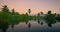 Tropical rainforest jungle in caribbean island and calm lake at sunset