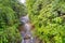 Tropical Rainforest River, Sinharaja National Park Rain Forest, Sri Lanka