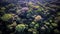 Tropical rainforest, Stunning aerial view of Rainforest. green background