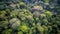 Tropical rainforest, Stunning aerial view of Rainforest. green background