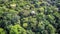 Tropical rainforest, Stunning aerial view of Rainforest. green background