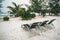 Tropical resort with chaise longs arranged in row under palms on sandy beach. three sitting chairs on island among the palm trees