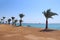 Tropical resort in Egypt. Palm trees growing on seashore. beautiful seascape