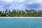 Tropical resort with many palm trees view from sea