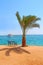 Tropical resort. Vacations concept. Marine panorama with beach palm tree and sea