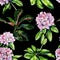 Tropical rhododendron flower seamless pattern watercolor.