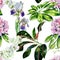 Tropical rhododendron flowers and iris seamless pattern watercolor.