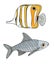 Tropical and river fish. Copperband Butterflyfish and common carp. Vector Chelmon rostratus fish. Hand drawn yellow beaked