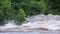 Tropical river floods the African jungle, close-up, Equatorial Guinea