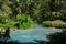 Tropical river with fresh water closeup photo. Fresh lake in green jungle forest. Natural environment of tropical island