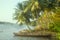 Tropical rivers of India. Picturesque leaned over water palm trees, narrow dugout boat