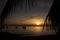 Tropical romantic paradise: sunset at the seaside - dark silhouettes of palm trees