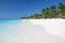 Tropical Sand Beach with Palmtrees