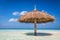 Tropical sandbank island with sunshade umbrella. Indian Ocean, Maldives.