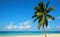 Tropical sandy beach with exotic palm tree, against blue sky and azure water