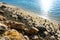 Tropical sandy beach with stones. Pure nature