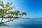 Tropical scene of Buye beach at the caribbean island of Puerto Rico