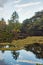 Tropical scenery reflecting in water