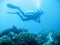 Tropical scuba diving adventure