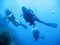 Tropical scuba diving adventure