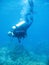 Tropical scuba diving adventure