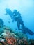 Tropical scuba diving adventure