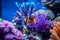 Tropical sea underwater fishes on coral reef. Aquarium oceanarium wildlife colorful marine panorama landscape nature