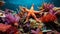 Tropical sea underwater starfish on coral reef. Aquarium oceanarium wildlife colorful marine panorama landscape nature