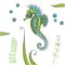 Tropical Seahorse background