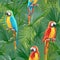 Tropical Seamless Parrot and Floral Summer Pattern. For Wallpapers, Backgrounds, Textures, Textile, Cards.