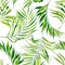 Tropical seamless pattern with exotic palm leaves. Tropical jungle foliage illustration. Exotic plants. Summer beach design. Parad