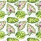 Tropical seamless pattern with  leaves. Watercolor illustration.